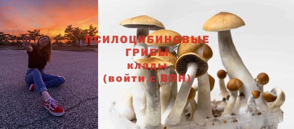 винт Михайловск