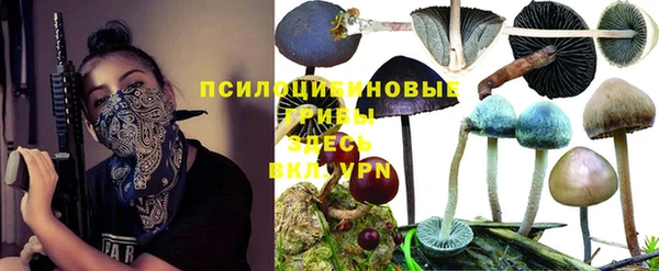 винт Михайловск