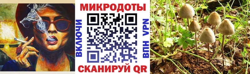Псилоцибиновые грибы GOLDEN TEACHER закладка Сысерть